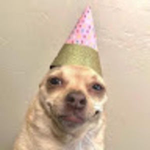 Meet your Posher, Silencer